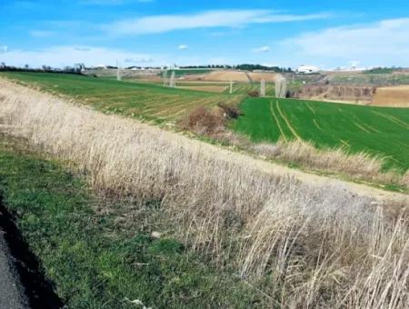 Dieses Grundstück In Tekirdağ Barbaros Ist Im Aktuellen Bebauungsplan Des Hafens Von Asyaport Enthalten Und Hat Ein Potenzial Für Gewerbe- Und Industriegebiete.