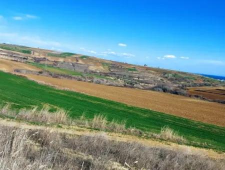 Dieses Grundstück In Tekirdağ Barbaros Ist Im Aktuellen Bebauungsplan Des Hafens Von Asyaport Enthalten Und Hat Ein Potenzial Für Gewerbe- Und Industriegebiete.