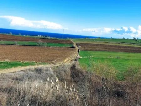 Dieses Grundstück In Tekirdağ Barbaros Ist Im Aktuellen Bebauungsplan Des Hafens Von Asyaport Enthalten Und Hat Ein Potenzial Für Gewerbe- Und Industriegebiete.