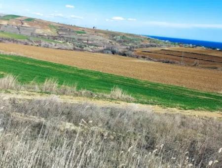 Dieses Grundstück In Tekirdağ Barbaros Ist Im Aktuellen Bebauungsplan Des Hafens Von Asyaport Enthalten Und Hat Ein Potenzial Für Gewerbe- Und Industriegebiete.