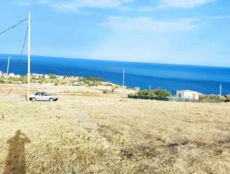 568 M2 Grundstück Mit Vollem Meerblick Zum Dringenden Verkauf In Tekirdag Barbarosta