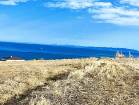 568 M2 Grundstück Mit Vollem Meerblick Zum Dringenden Verkauf In Tekirdag Barbarosta