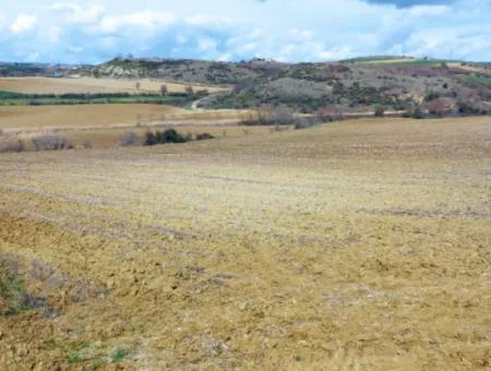 16.200 Quadratmeter Grundstück Zum Verkauf Im Stadtteil Süleymanpaşa Yazır Von Tekirdağ