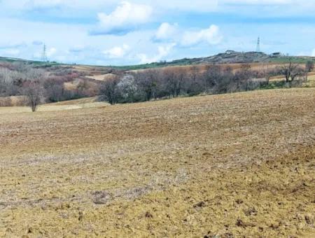 16.200 Quadratmeter Grundstück Zum Verkauf Im Stadtteil Süleymanpaşa Yazır Von Tekirdağ