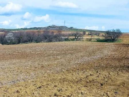 16.200 Quadratmeter Grundstück Zum Verkauf Im Stadtteil Süleymanpaşa Yazır Von Tekirdağ