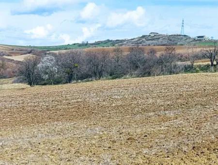 16.200 Quadratmeter Grundstück Zum Verkauf Im Stadtteil Süleymanpaşa Yazır Von Tekirdağ