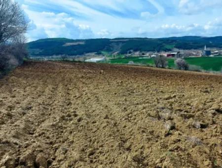 16.200 Quadratmeter Grundstück Zum Verkauf Im Stadtteil Süleymanpaşa Yazır Von Tekirdağ