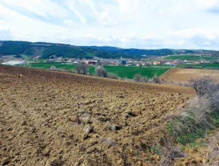 16.200 Quadratmeter Grundstück Zum Verkauf Im Stadtteil Süleymanpaşa Yazır Von Tekirdağ