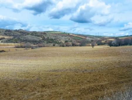 16.200 Quadratmeter Grundstück Zum Verkauf Im Stadtteil Süleymanpaşa Yazır Von Tekirdağ