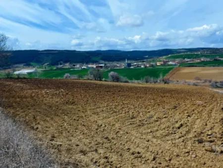 16.200 Quadratmeter Grundstück Zum Verkauf Im Stadtteil Süleymanpaşa Yazır Von Tekirdağ