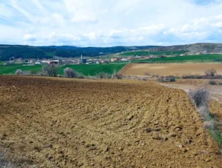 16.200 Quadratmeter Grundstück Zum Verkauf Im Stadtteil Süleymanpaşa Yazır Von Tekirdağ