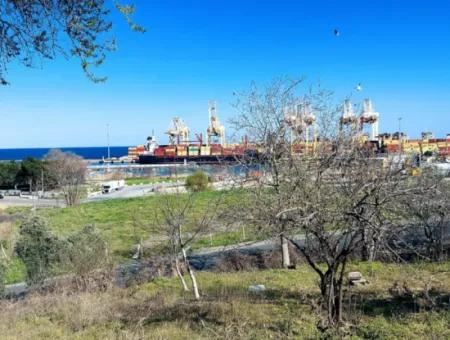 Grundstück Im Viertel Tekirdag Süleymanpaşa Barbaros, 100 Meter Vom Hafen Von Asyaport Entfernt