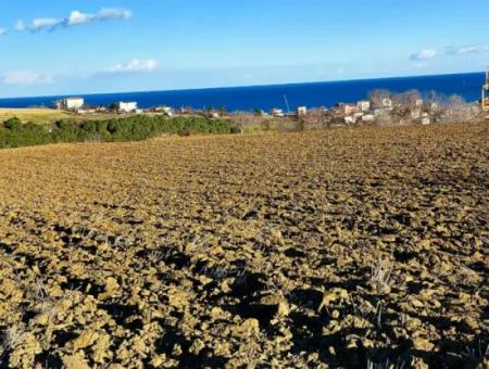 18 100 M2 Wohngebiet Ganz In Der Nähe Des Hafens Tekirdağ Barbaros Asyaport