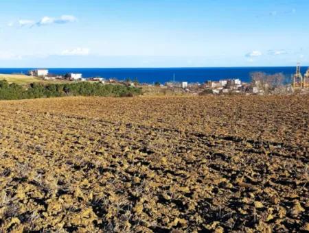 18 100 M2 Wohngebiet Ganz In Der Nähe Des Hafens Tekirdağ Barbaros Asyaport