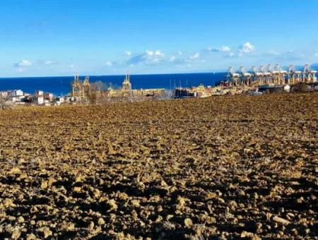 18 100 M2 Wohngebiet Ganz In Der Nähe Des Hafens Tekirdağ Barbaros Asyaport