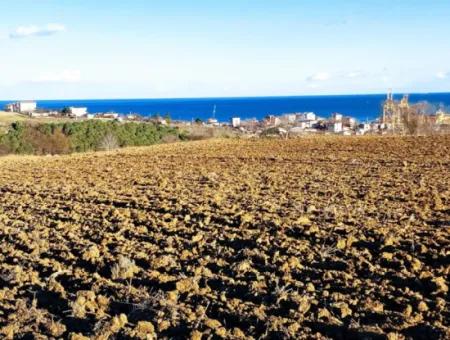 18 100 M2 Wohngebiet Ganz In Der Nähe Des Hafens Tekirdağ Barbaros Asyaport