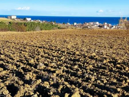 18 100 M2 Wohngebiet Ganz In Der Nähe Des Hafens Tekirdağ Barbaros Asyaport