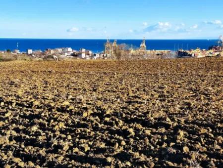 18 100 M2 Wohngebiet Ganz In Der Nähe Des Hafens Tekirdağ Barbaros Asyaport