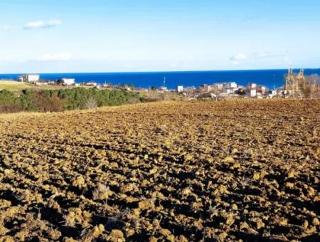 18 100 M2 Wohngebiet Ganz In Der Nähe Des Hafens Tekirdağ Barbaros Asyaport