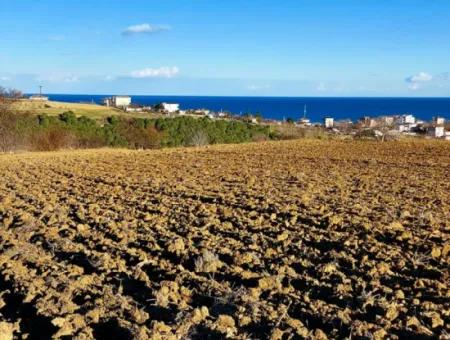 18 100 M2 Wohngebiet Ganz In Der Nähe Des Hafens Tekirdağ Barbaros Asyaport