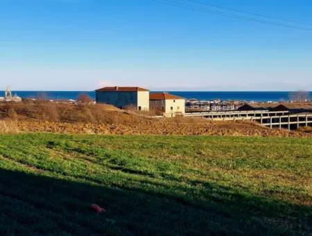 3.100 M2 Feld Zum Verkauf In Tekirdag Süleymanpaşa Barbaros Mit Herrlichem Meer- Und Naturblick