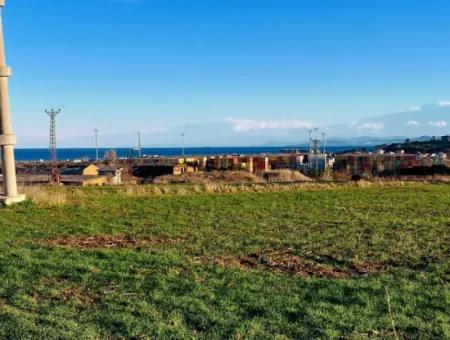 3.100 M2 Feld Zum Verkauf In Tekirdag Süleymanpaşa Barbaros Mit Herrlichem Meer- Und Naturblick