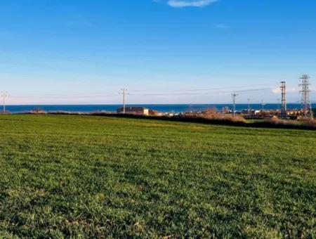 3.100 M2 Feld Zum Verkauf In Tekirdag Süleymanpaşa Barbaros Mit Herrlichem Meer- Und Naturblick