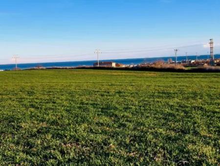 3.100 M2 Feld Zum Verkauf In Tekirdag Süleymanpaşa Barbaros Mit Herrlichem Meer- Und Naturblick