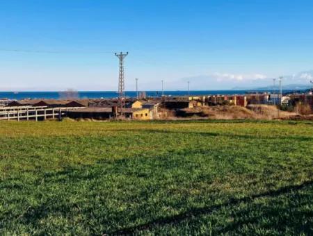 3.100 M2 Feld Zum Verkauf In Tekirdag Süleymanpaşa Barbaros Mit Herrlichem Meer- Und Naturblick