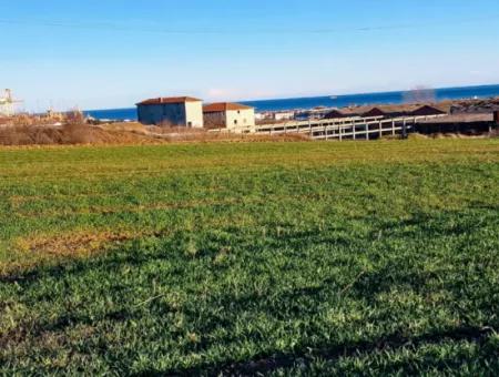 3.100 M2 Feld Zum Verkauf In Tekirdag Süleymanpaşa Barbaros Mit Herrlichem Meer- Und Naturblick