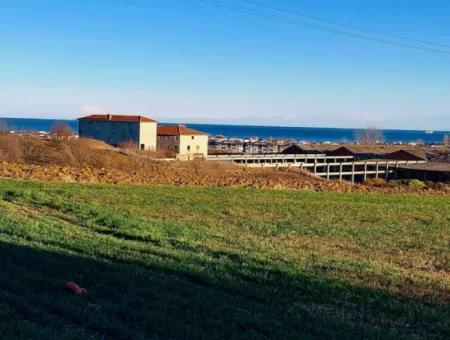 3.100 M2 Feld Zum Verkauf In Tekirdag Süleymanpaşa Barbaros Mit Herrlichem Meer- Und Naturblick