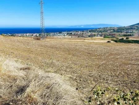 Das 21.900 M2 Große Grundstück In Tekirdağ Barbaros Befindet Sich Innerhalb Des Aktuellen Bebauungsplans Von Asyaport Port