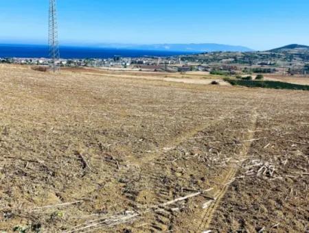 Das 21.900 M2 Große Grundstück In Tekirdağ Barbaros Befindet Sich Innerhalb Des Aktuellen Bebauungsplans Von Asyaport Port