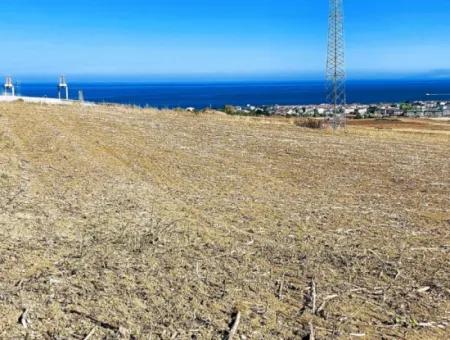 Das 21.900 M2 Große Grundstück In Tekirdağ Barbaros Befindet Sich Innerhalb Des Aktuellen Bebauungsplans Von Asyaport Port