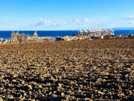 17.100 M2 Wohngebiet Mit Herrlicher Aussicht, In Der Nähe Des Hafens Tekirdağ Barbaros Asyaport