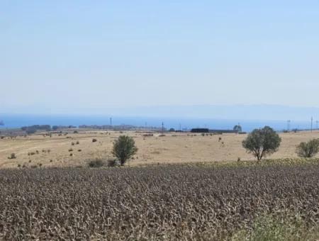 9.300 M2 Investitionsfeld Mit Blick Auf Das Meer Und Die Natur In Tekirdağ Husunlu! Ideale Gelegenheit Für Familienpicknick, Weinbau Oder Tiny-House-Projekt