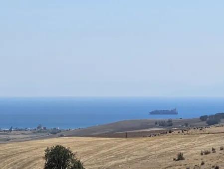 9.300 M2 Investitionsfeld Mit Blick Auf Das Meer Und Die Natur In Tekirdağ Husunlu! Ideale Gelegenheit Für Familienpicknick, Weinbau Oder Tiny-House-Projekt