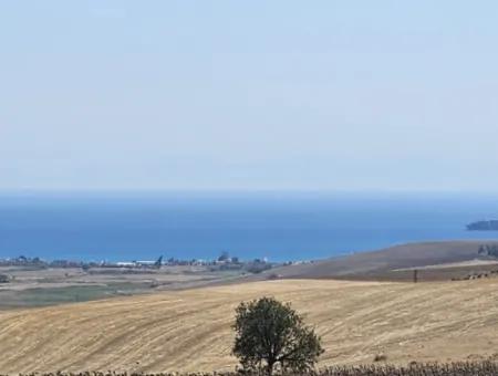 9.300 M2 Investitionsfeld Mit Blick Auf Das Meer Und Die Natur In Tekirdağ Husunlu! Ideale Gelegenheit Für Familienpicknick, Weinbau Oder Tiny-House-Projekt