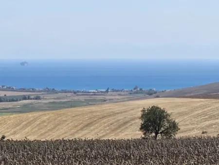 9.300 M2 Investitionsfeld Mit Blick Auf Das Meer Und Die Natur In Tekirdağ Husunlu! Ideale Gelegenheit Für Familienpicknick, Weinbau Oder Tiny-House-Projekt