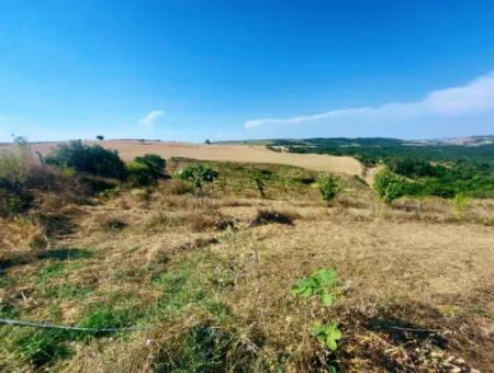 35.250 M2 Fertige Gemischte Obstgärtnerei Für Den Notverkauf In Tekirdağ Süleymanpaşa Çanakçı