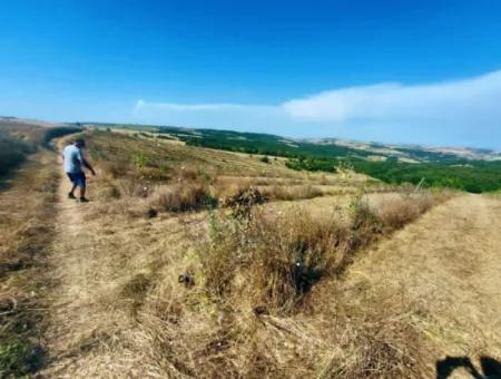 35.250 M2 Fertige Gemischte Obstgärtnerei Für Den Notverkauf In Tekirdağ Süleymanpaşa Çanakçı