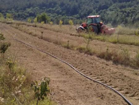 35.250 M2 Fertige Gemischte Obstgärtnerei Für Den Notverkauf In Tekirdağ Süleymanpaşa Çanakçı