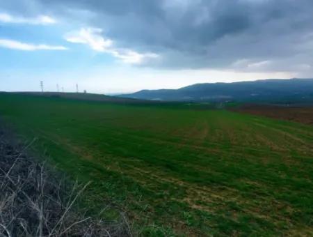 Investitionsmöglichkeit Für Gewerbe- Und Industriegebiete Im Rahmen Des Aktuellen Bebauungsplans Des Asyaport-Hafens In Der Region Tekirdağ Barbaros