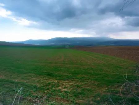 Investitionsmöglichkeit Für Gewerbe- Und Industriegebiete Im Rahmen Des Aktuellen Bebauungsplans Des Asyaport-Hafens In Der Region Tekirdağ Barbaros