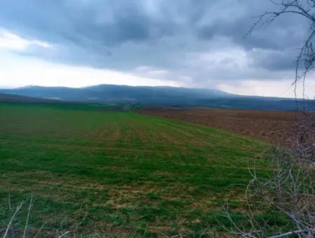 Investitionsmöglichkeit Für Gewerbe- Und Industriegebiete Im Rahmen Des Aktuellen Bebauungsplans Des Asyaport-Hafens In Der Region Tekirdağ Barbaros