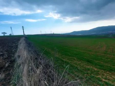 Investitionsmöglichkeit Für Gewerbe- Und Industriegebiete Im Rahmen Des Aktuellen Bebauungsplans Des Asyaport-Hafens In Der Region Tekirdağ Barbaros