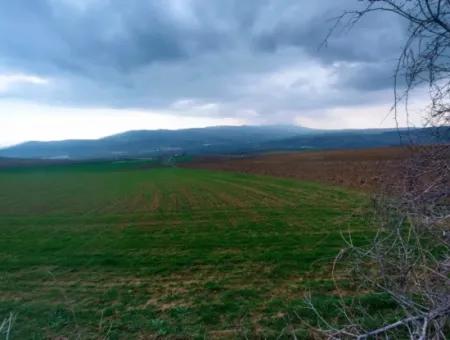 Investitionsmöglichkeit Für Gewerbe- Und Industriegebiete Im Rahmen Des Aktuellen Bebauungsplans Des Asyaport-Hafens In Der Region Tekirdağ Barbaros