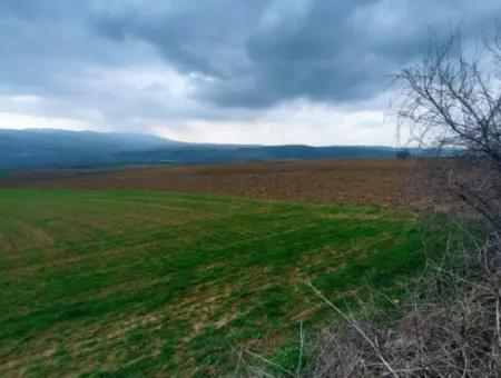 Investitionsmöglichkeit Für Gewerbe- Und Industriegebiete Im Rahmen Des Aktuellen Bebauungsplans Des Asyaport-Hafens In Der Region Tekirdağ Barbaros