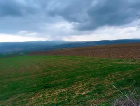 Investitionsmöglichkeit Für Gewerbe- Und Industriegebiete Im Rahmen Des Aktuellen Bebauungsplans Des Asyaport-Hafens In Der Region Tekirdağ Barbaros