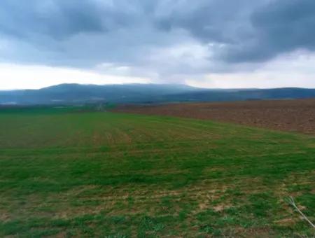 Investitionsmöglichkeit Für Gewerbe- Und Industriegebiete Im Rahmen Des Aktuellen Bebauungsplans Des Asyaport-Hafens In Der Region Tekirdağ Barbaros